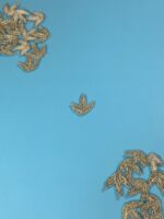 Kora Nakshi Banch Embroidered Leaves - Image 2